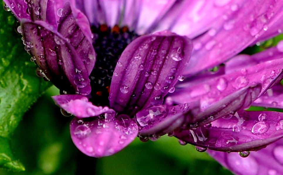 Nach dem Regen