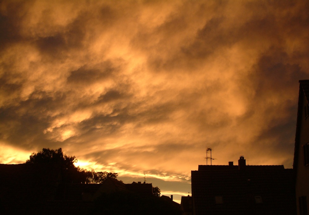 Nach dem Regen