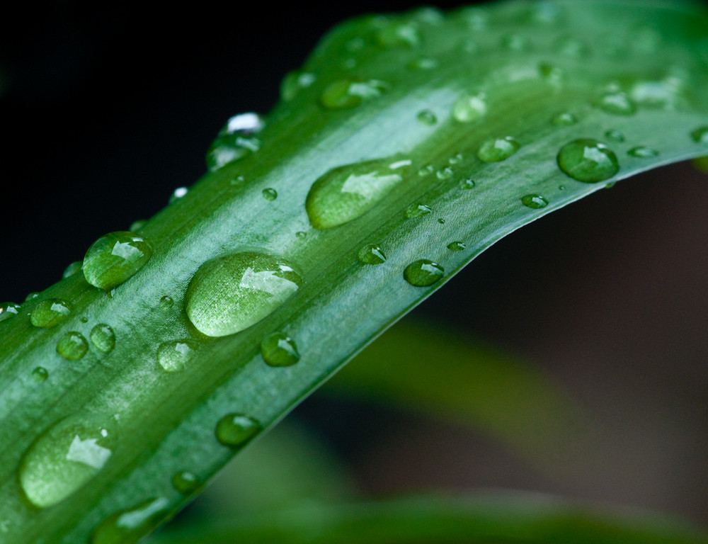 nach dem Regen