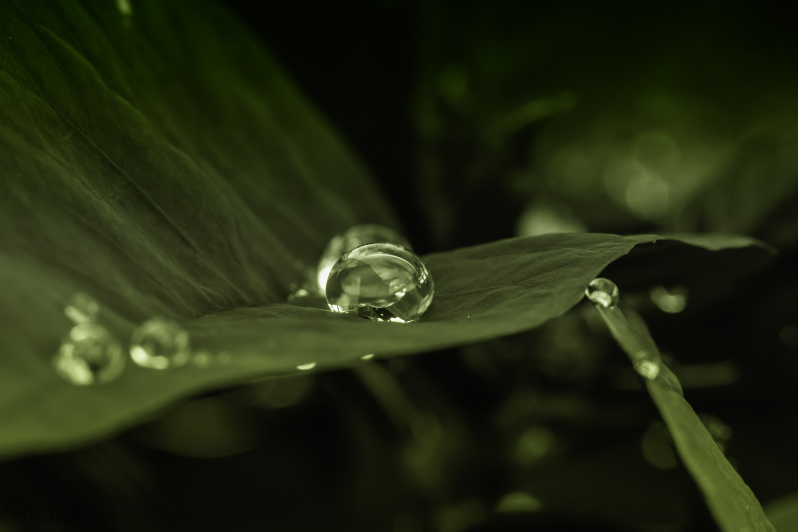 Nach dem Regen