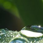 Nach dem Regen