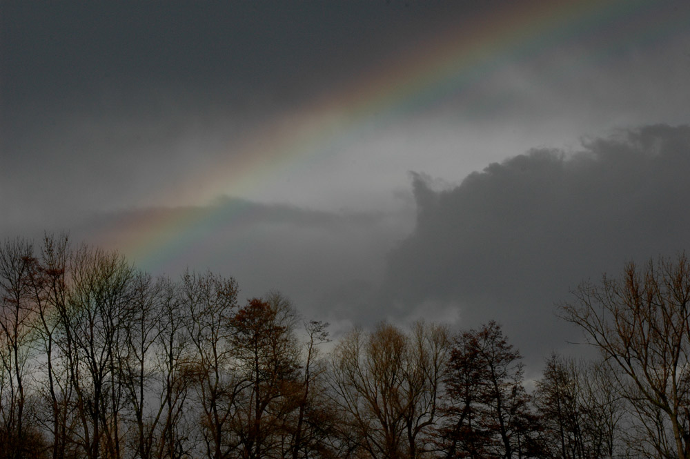 Nach dem Regen