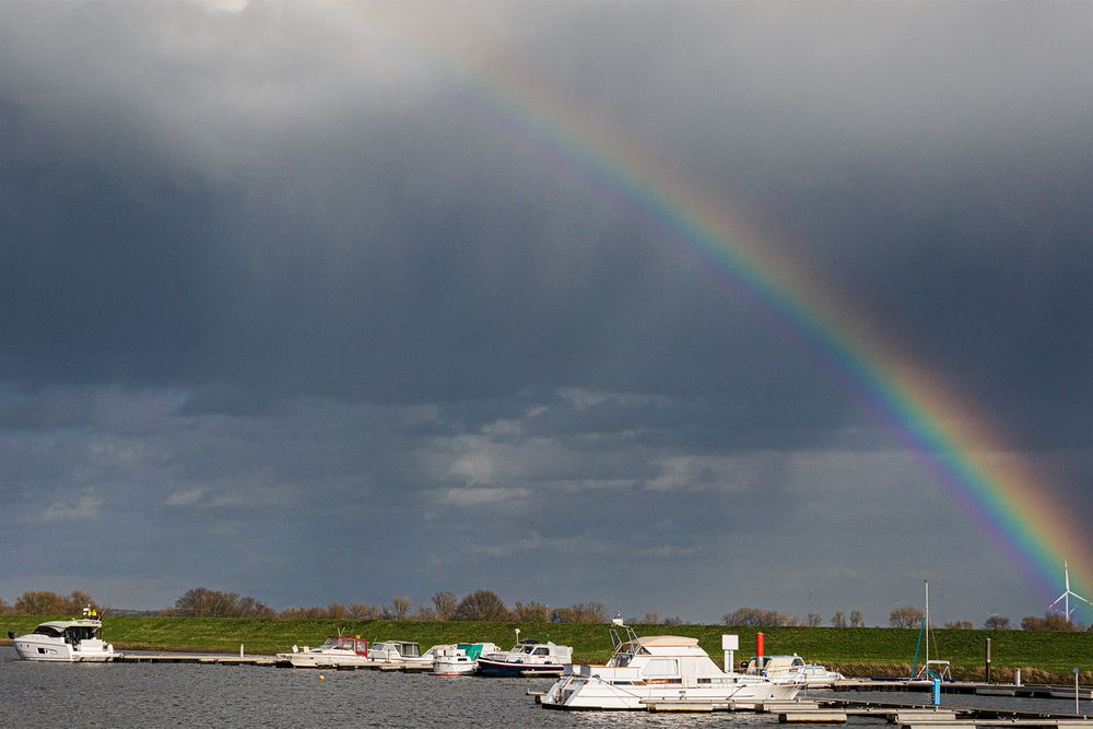 nach dem Regen