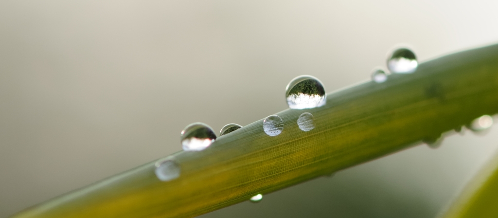 Nach dem Regen