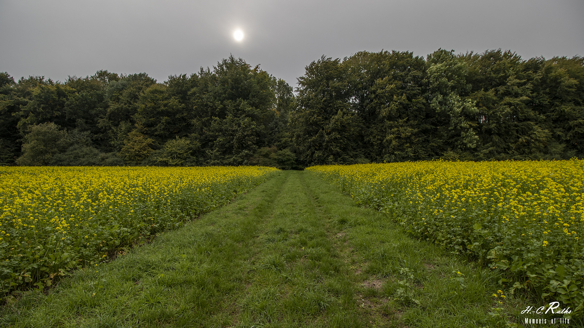 Nach dem Regen