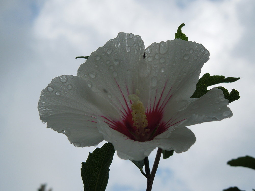 Nach dem Regen folgt der Sonnenschein