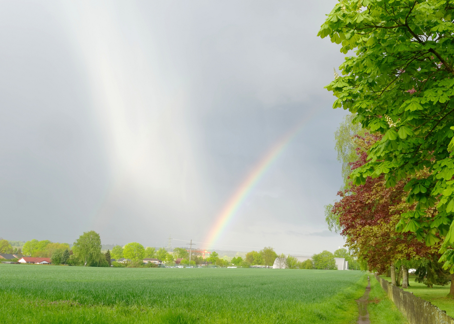 Nach dem Regen folgt der Sonnenschein