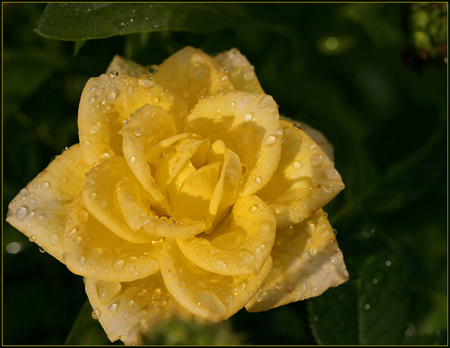 Nach dem Regen folgt die Sonne....