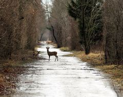 Nach dem Regen gestern ...