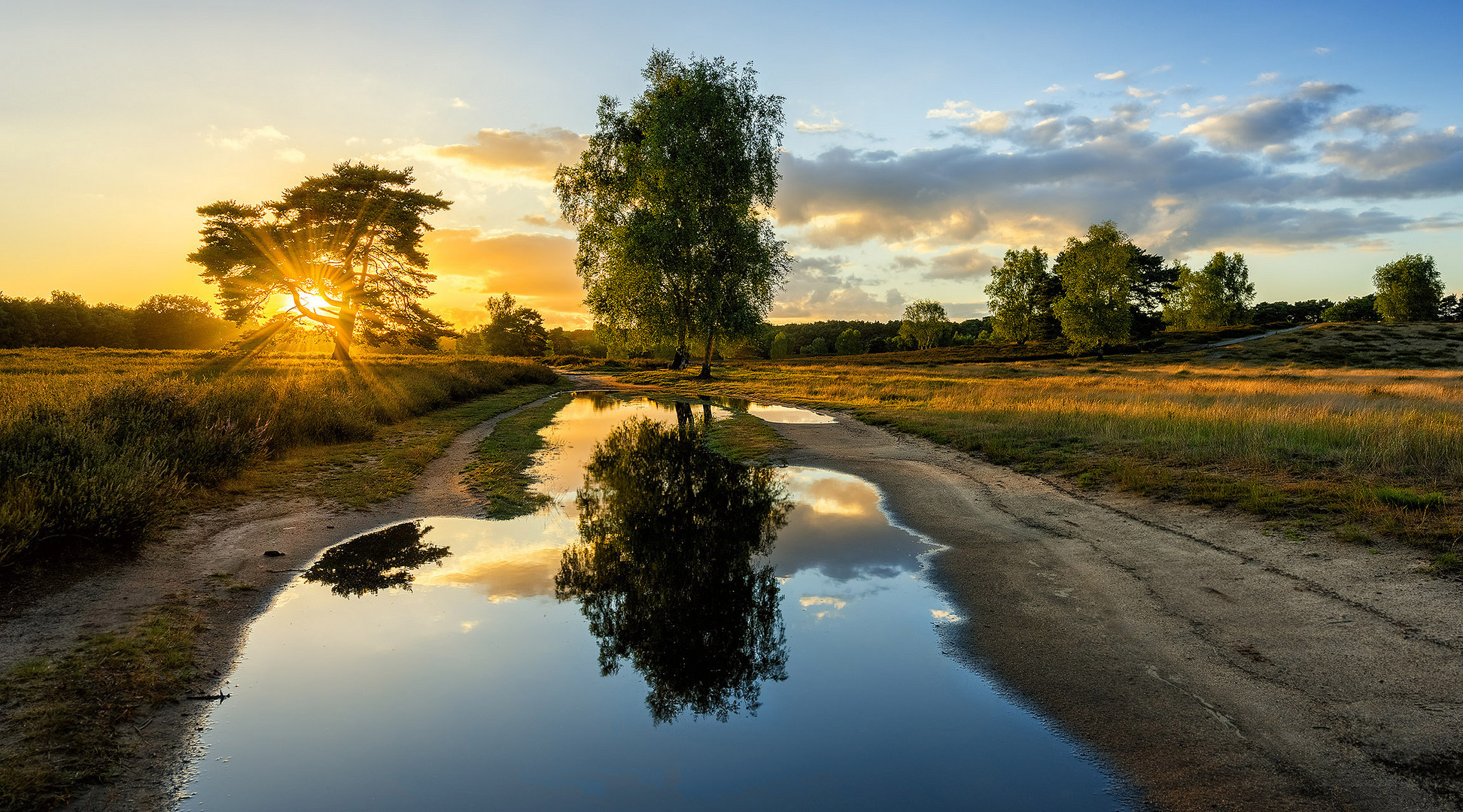 Nach dem Regen  I Foto Bild  landschaft 