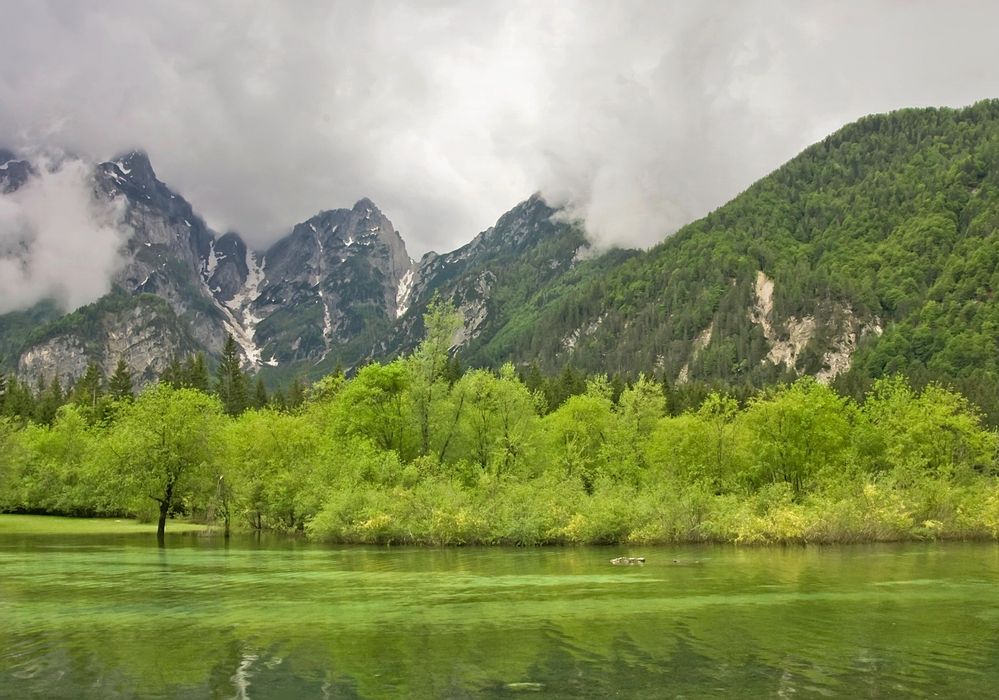 Nach dem Regen II