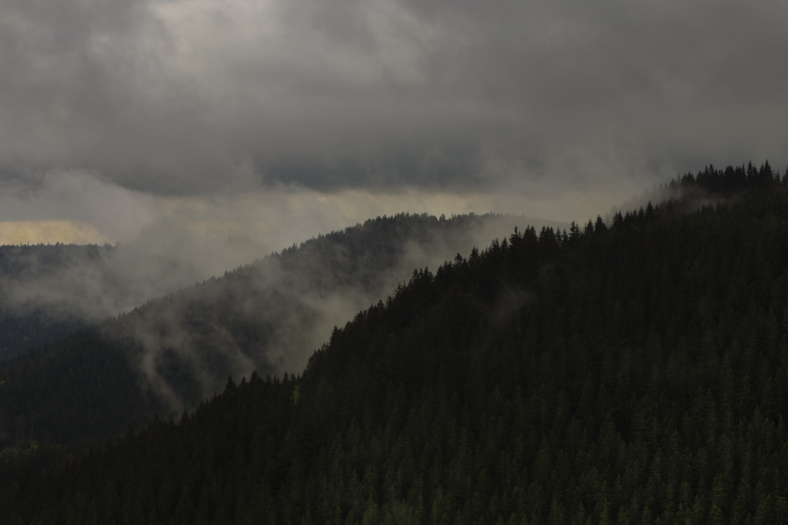 Nach dem Regen im Schwarzwald