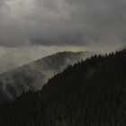 Nach dem Regen im Schwarzwald