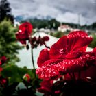 Nach dem Regen in Berchtesgaden