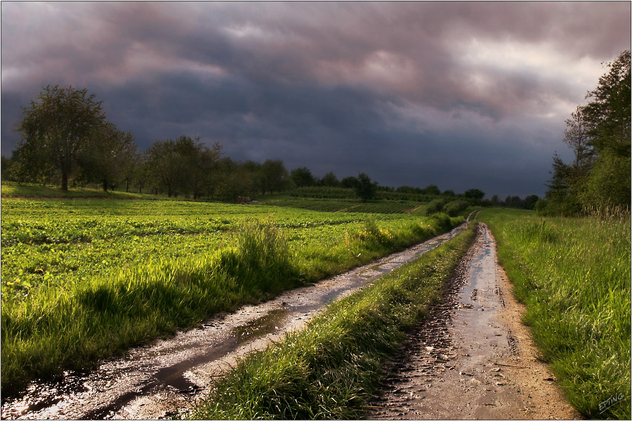 Nach dem Regen ist vor dem Regen