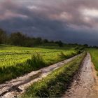 Nach dem Regen ist vor dem Regen