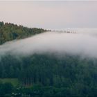 Nach dem Regen - ist vor dem Regen