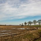 nach dem Regen ist vor dem Regen