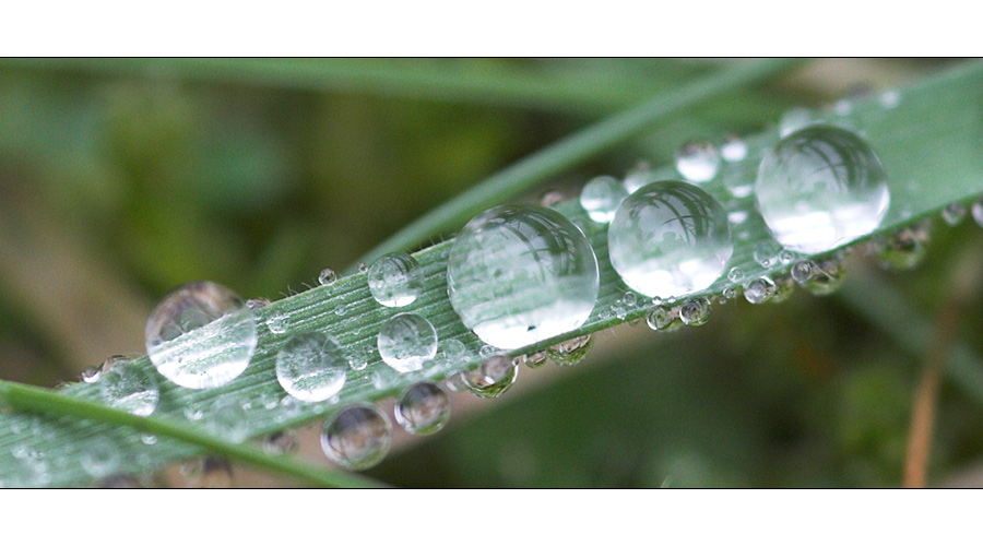 Nach dem Regen ist vor dem Regen