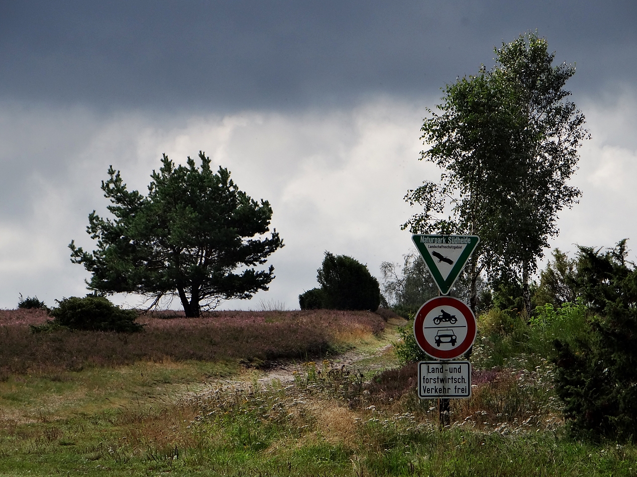 Nach dem Regen ist vor dem Regen