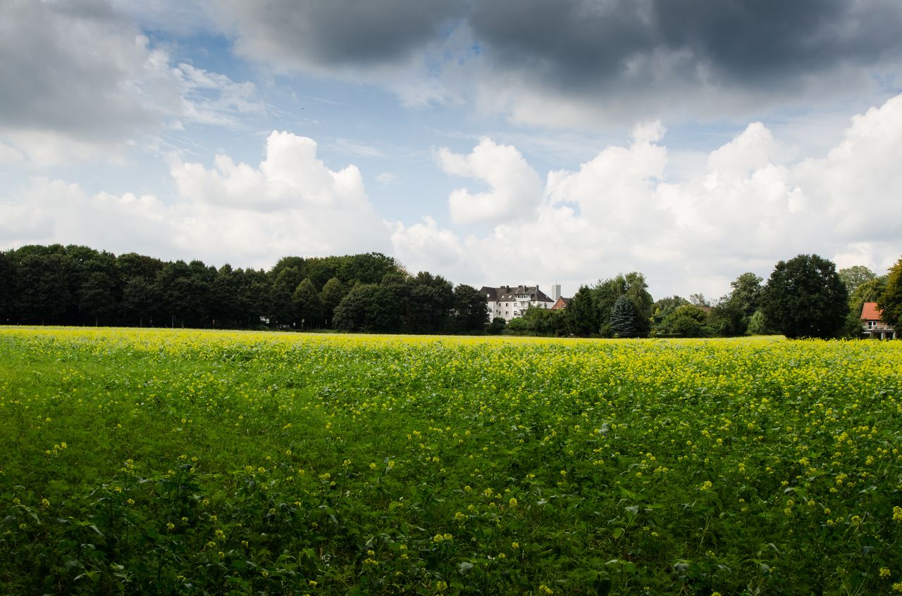 nach dem Regen ist vor dem Regen ....