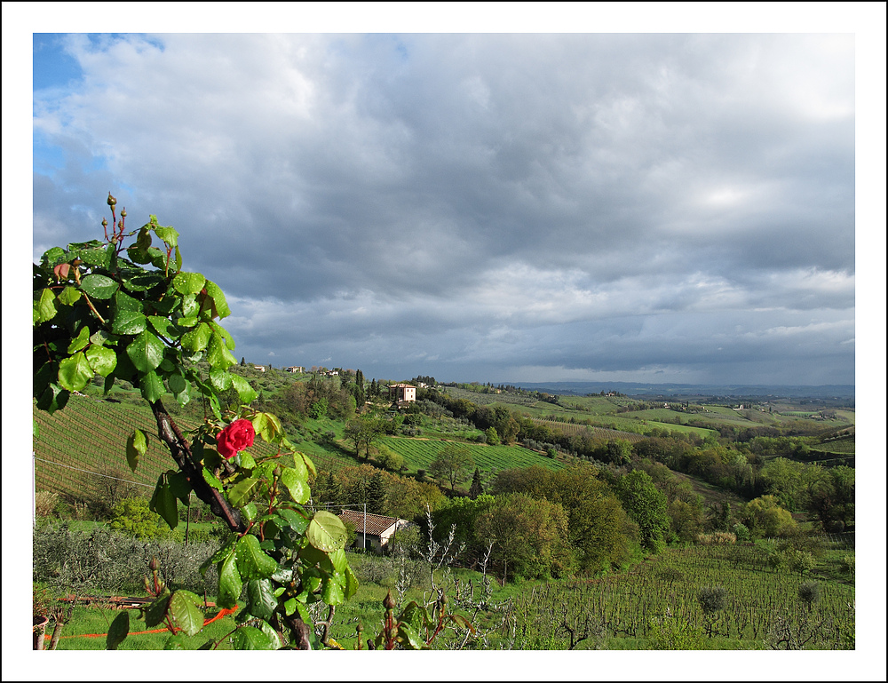 Nach dem Regen ist vor dem Regen