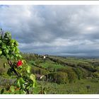 Nach dem Regen ist vor dem Regen