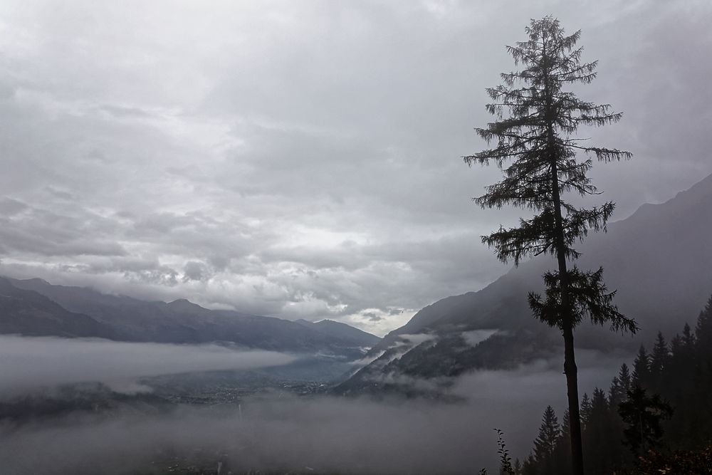 Nach dem Regen ist vor dem Regen