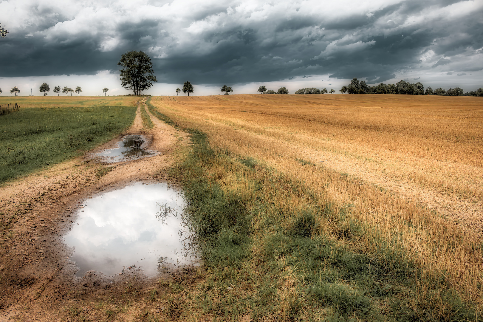 Nach dem Regen ist vor dem Regen ....