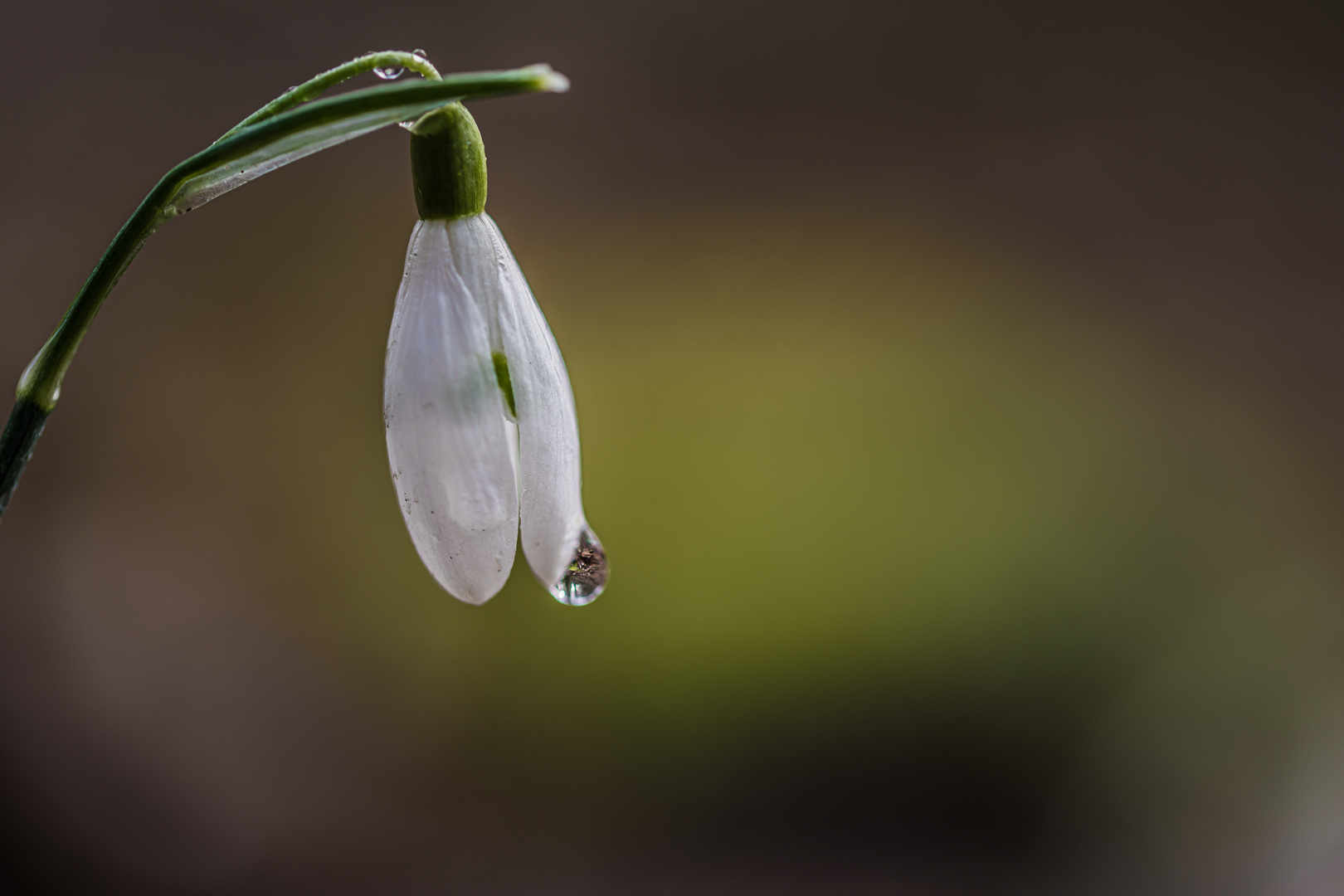 Nach dem Regen ist vor dem Regen