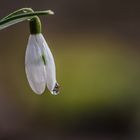 Nach dem Regen ist vor dem Regen