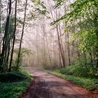 Nach dem Regen ist vor dem Regen