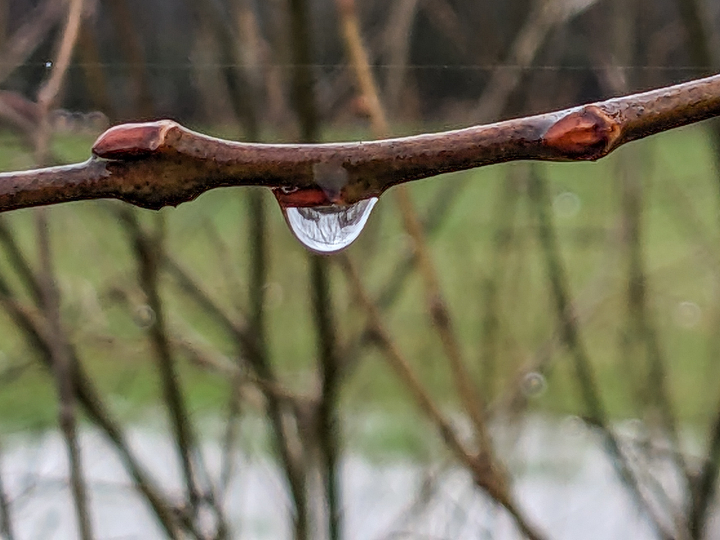 Nach dem Regen ist vor dem Regen