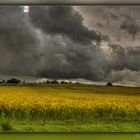  nach dem Regen ist vor dem Regen