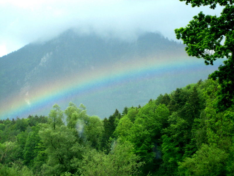 Nach dem Regen kommt der Bogen