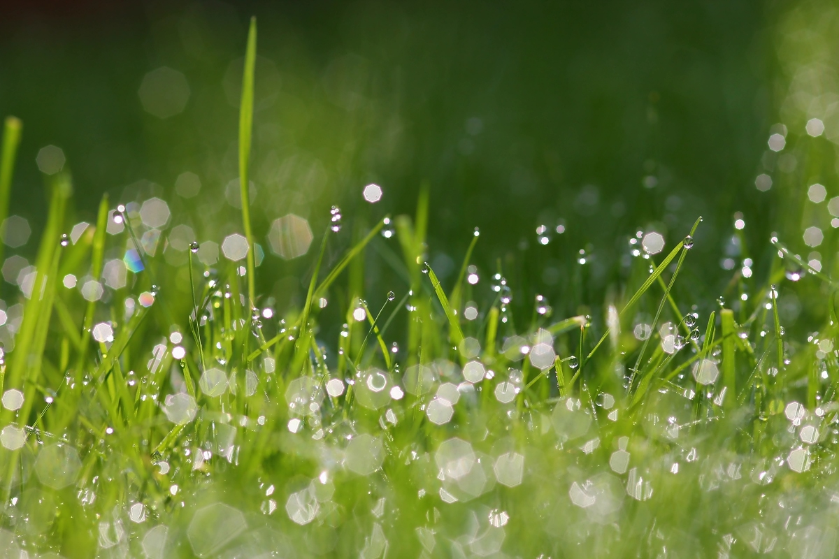 Nach dem Regen kommt die Sonne