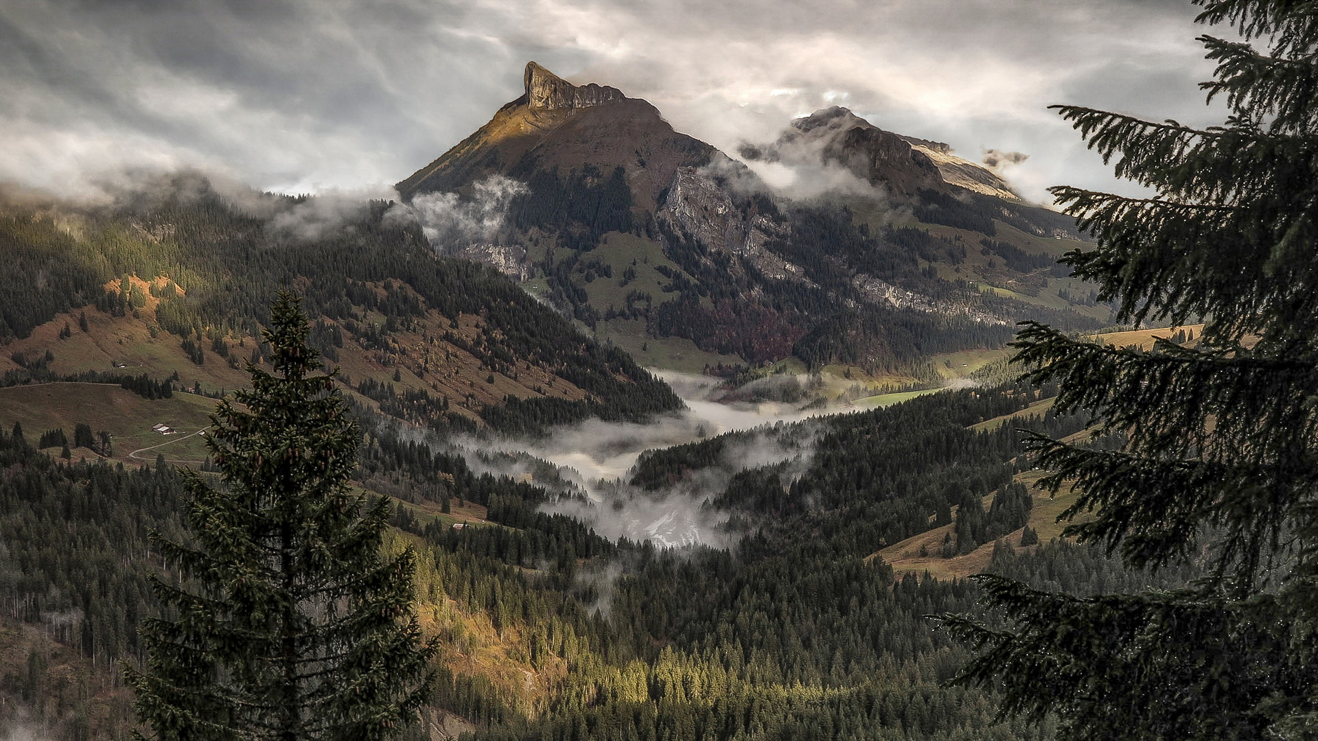 Nach dem Regen kommt die Sonne