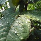 Nach dem Regen kommt die Sonne