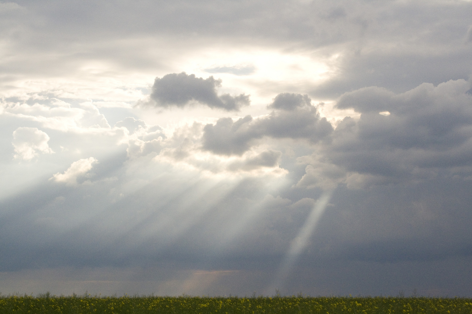 Nach dem Regen kommt die Sonne