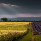 Nach dem Regen kommt die Sonne