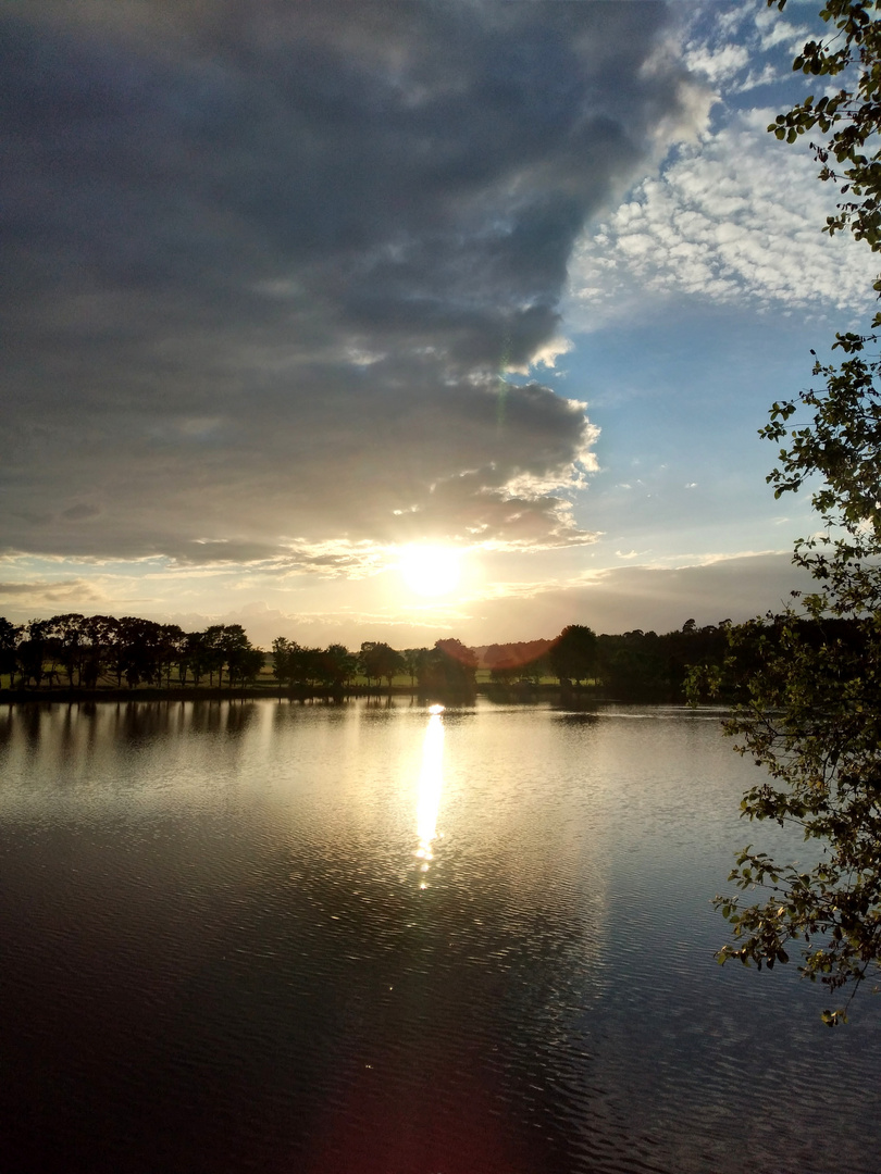 Nach dem Regen kommt die Sonne (III)