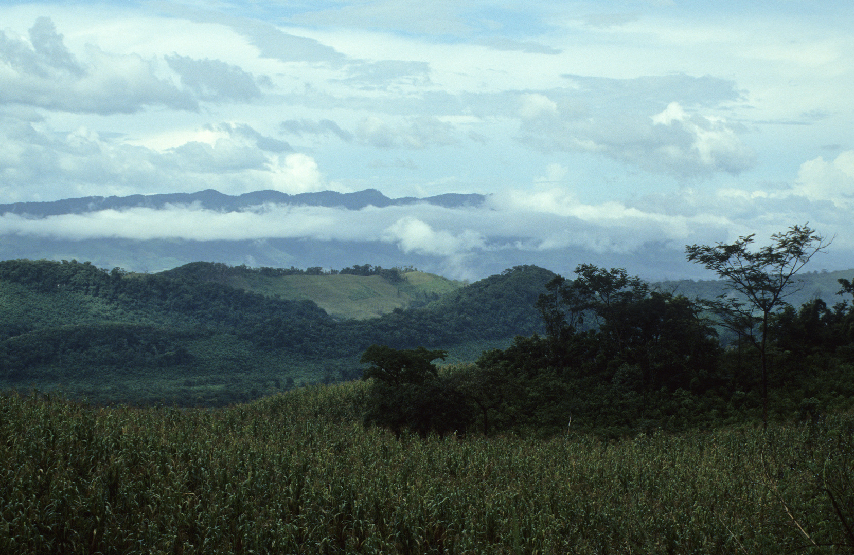 Nach dem Regen - Landschaft in Chiapas