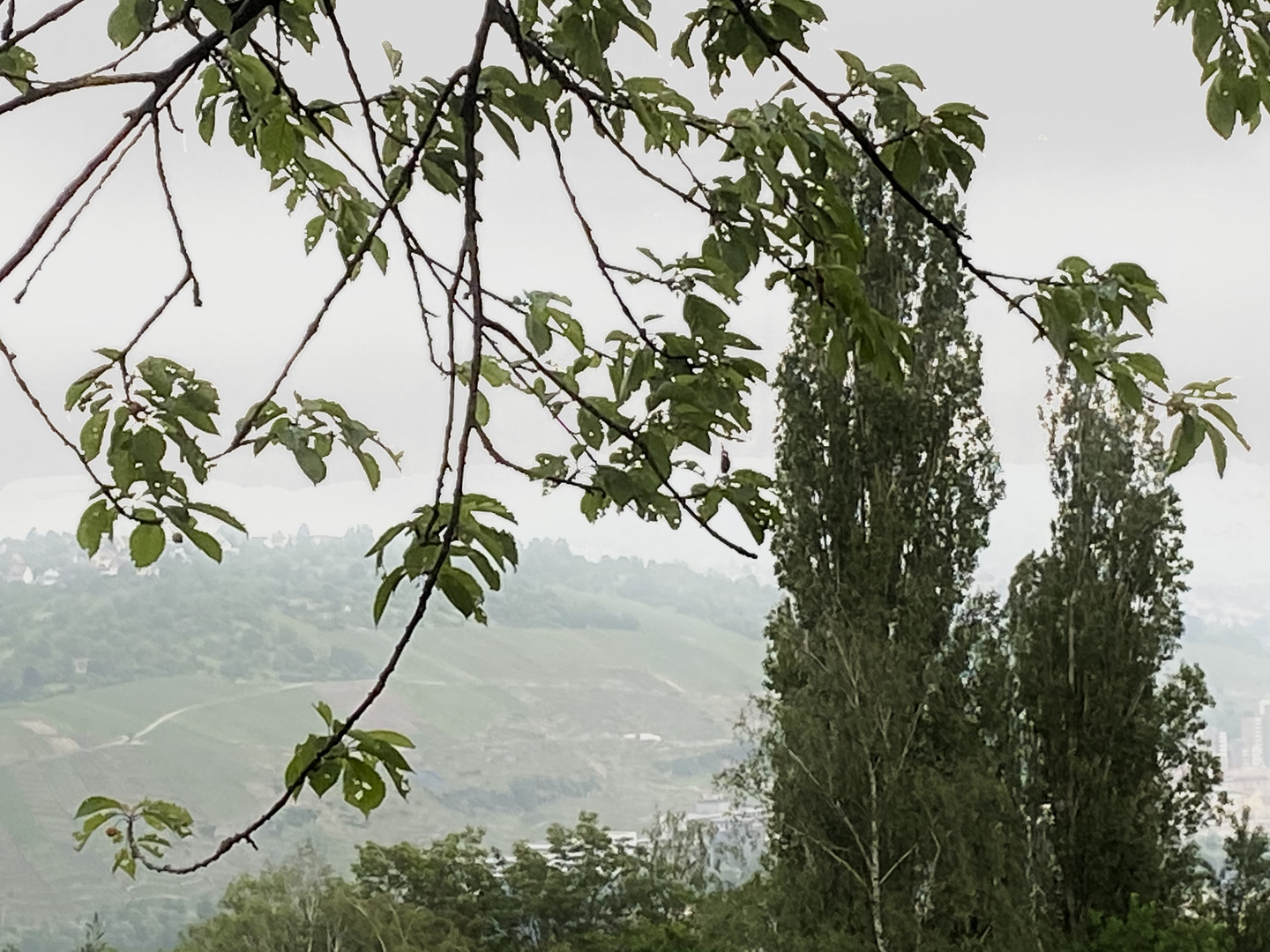 Nach dem Regen liegt der Horizont im Dunst und Nebel