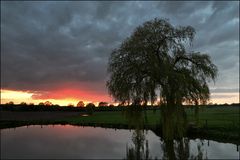 nach dem Regen (Mai)