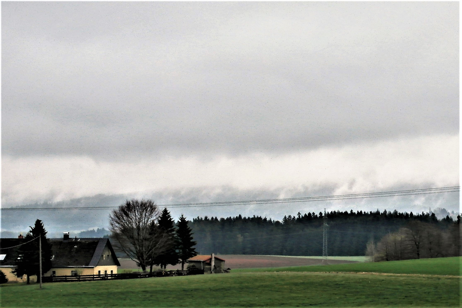 Nach dem Regen :Rauchende Wälder im Fichtelgebirge