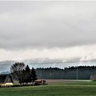 Nach dem Regen :Rauchende Wälder im Fichtelgebirge