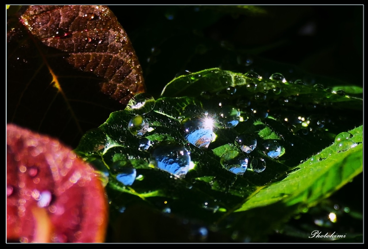 Nach dem Regen-Schauer 