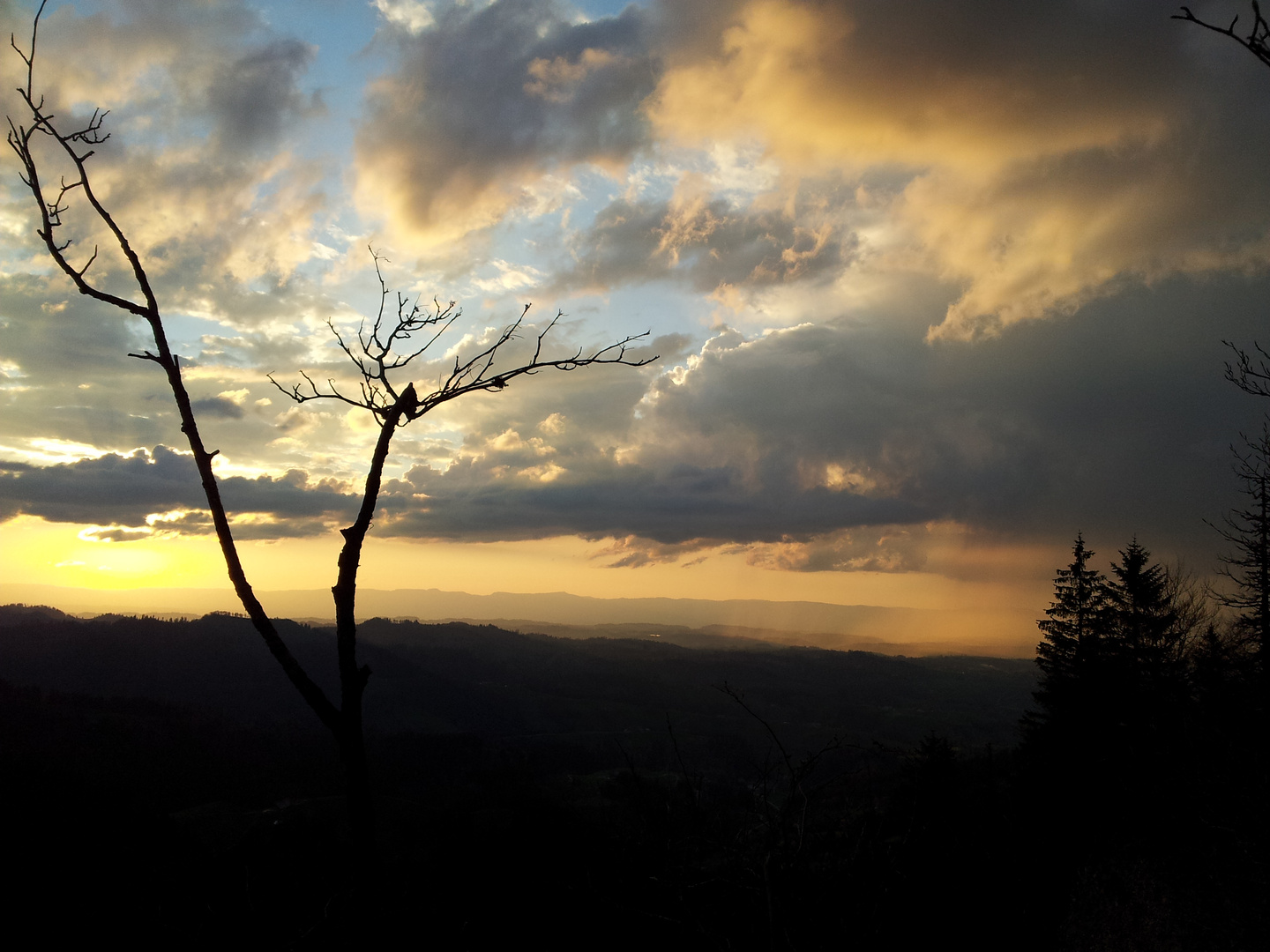 Nach dem Regen scheint die Sonne