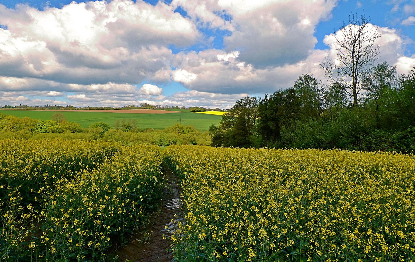 Nach dem Regen schien die Sonne