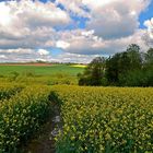 Nach dem Regen schien die Sonne